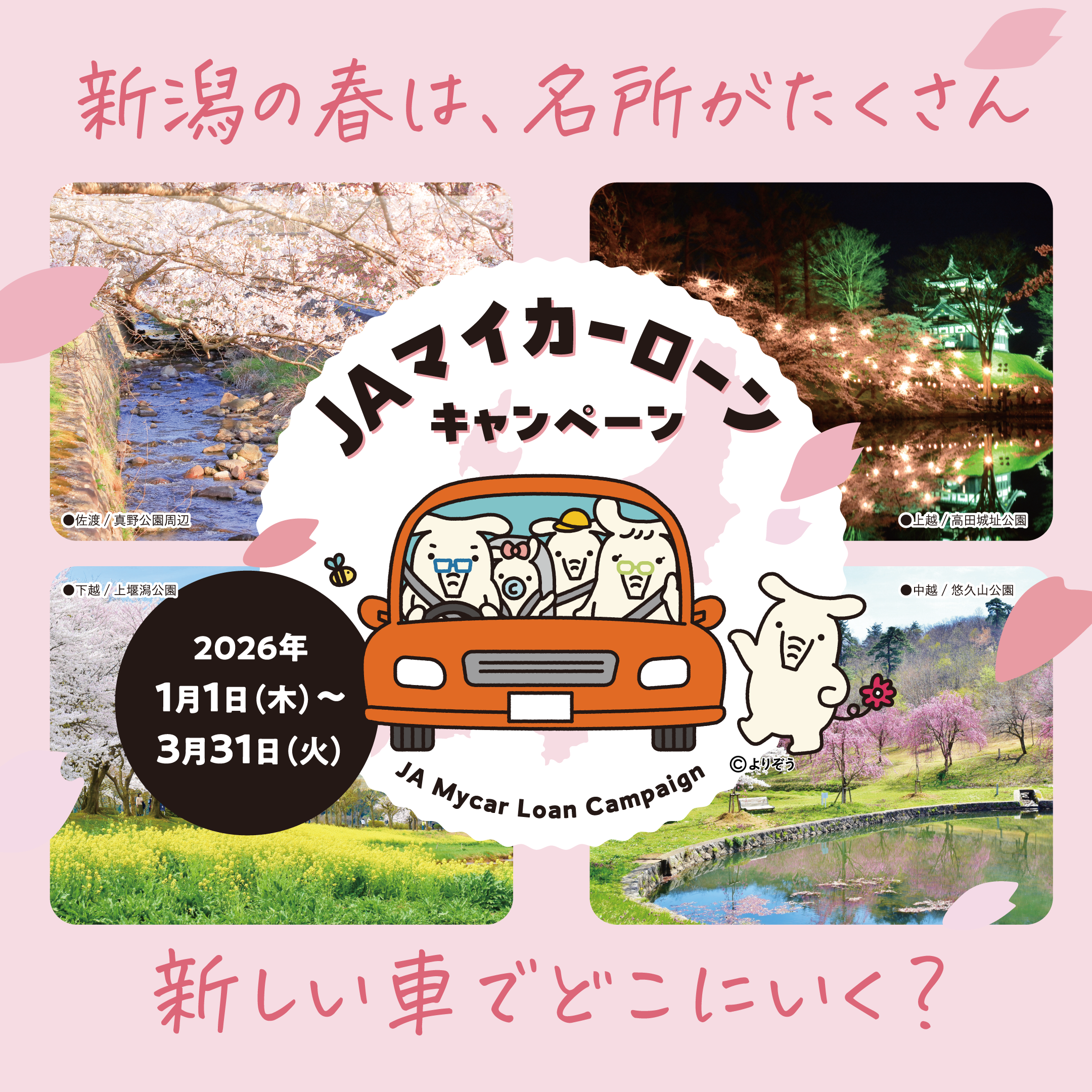 JAバンク新潟マイカーローンキャンペーン！